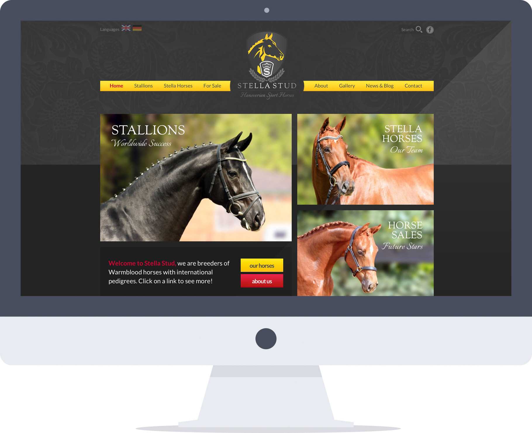 Stella Stud Designed by Ulladulla Web Design